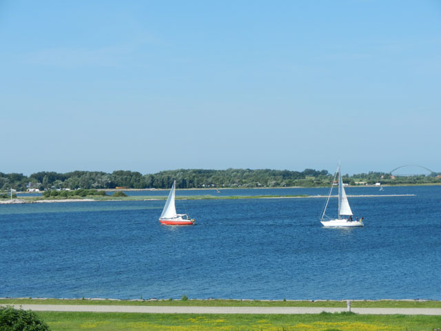 Seegelboote Blick aus der Ferienwohnung Piccolo Seiss am Südstrand von Fehmarn